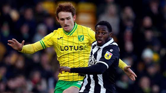 Article image:Josh Sargent exploits mean Norwich City supporters won't see much of new signing: View