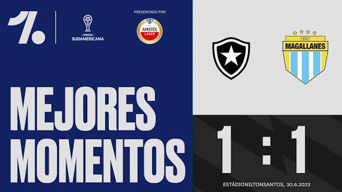 Imagen de vista previa para Mejores momentos: Botafogo - Magallanes (CONMEBOL Sudamericana)