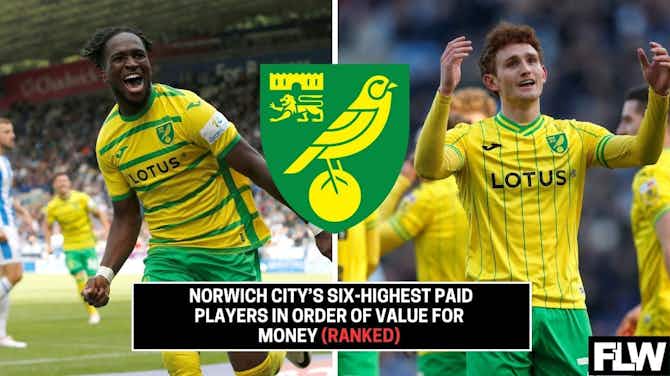Preview image for Norwich City's 6 highest paid players in order of value for money (Ranked)