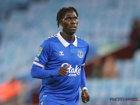 Image de l'article :🎥 Le but de l'espoir ? Amadou Onana offre un point crucial à Everton !
