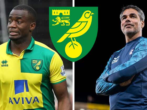 Article image:“A very unfair game” - Seb Bassong issues verdict on David Wagner’s future at Norwich City