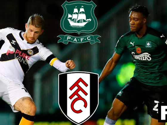 Article image:You would be forgiven for forgetting Fulham and Plymouth Argyle transfer ever happened: View
