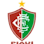 Icon: Fluminense PI U20