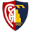 Icon: Montevarchi Calcio Aquila 1902