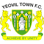 Icon: Yeovil Town FC