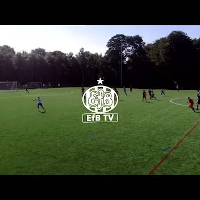 Preview image for U17: Esbjerg fB - AGF 1-2