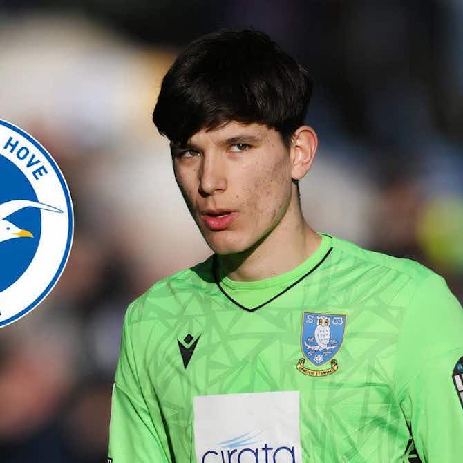 Preview image for "Exactly what we need" - Sheffield Wednesday backed to secure Brighton transfer agreement