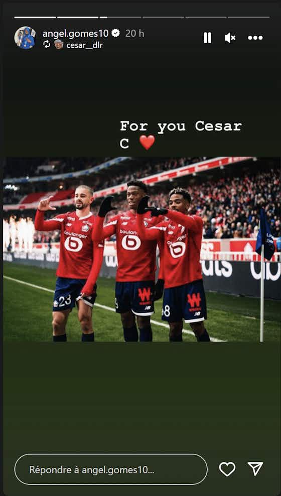 Image de l'article :LOSC – FC Lorient : Les réactions des Dogues sur les réseaux sociaux