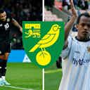 Preview image for "Unbelievable move" - Rob Earnshaw reacts as Celtic seal Norwich City transfer