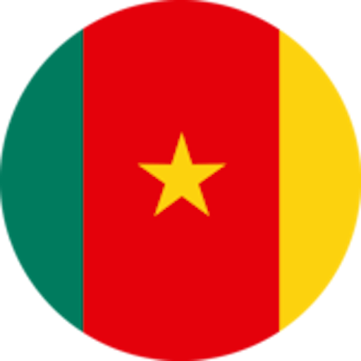 Icon: Camerun Femminile