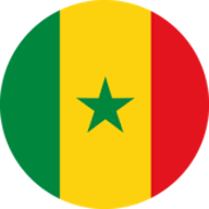 Icon: Senegal