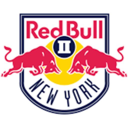 Logo : New York RB II
