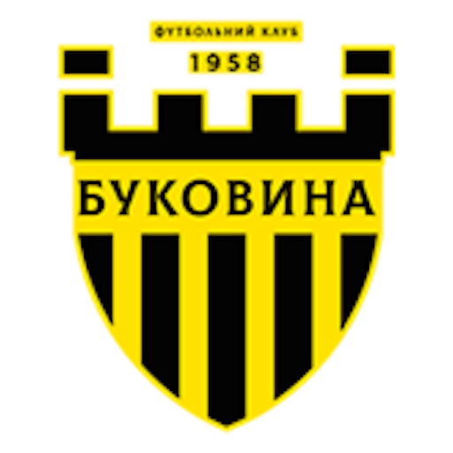 Logo: Bukovyna