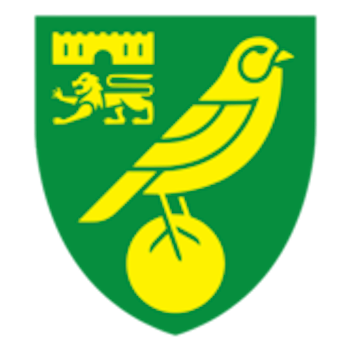 Logo : Norwich City Women