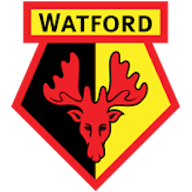 Logo: Watford Women