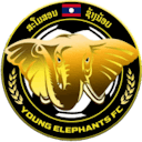 Young Elephants FC