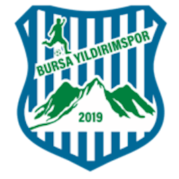 Logo: Bursa Yildirim Spor