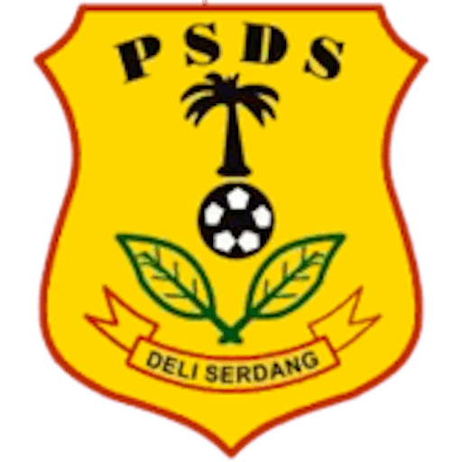 Logo : PSDS