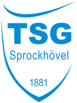 Logo: TSG 1881 Sprockhovel