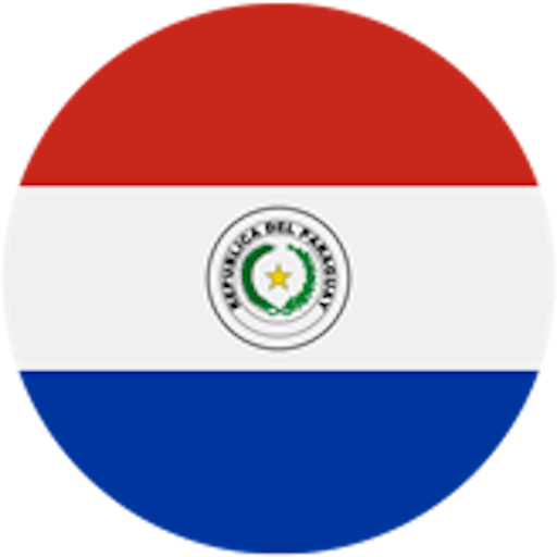 Logo : Paraguay