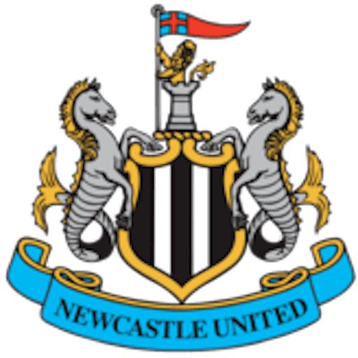 Logo: Newcastle United U19