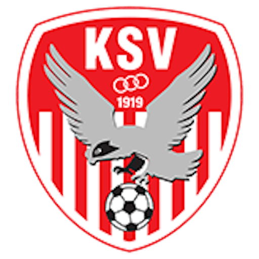 Icon: Kapfenberger SV 1919