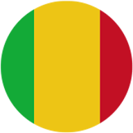 Logo : Mali U17