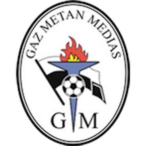 Icon: Gaz Metan Medias