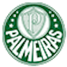 Icon: Palmeiras Wanita