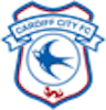 Icon: Cardiff City