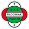 Icon: RKS Radomiak Radom