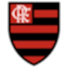 Icon: Flamengo Femenino
