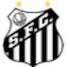 Icon: Santos U20