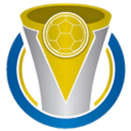 Logo: Brasileirão Série D