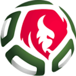 Icon: Belarusian Super Cup