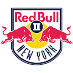 Logo: New York Red Bulls II