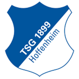 Logo: TSG Hoffenheim