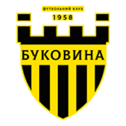 Logo: Bukovyna