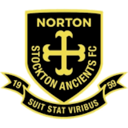 Logo: Norton & Stockton