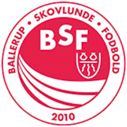 Logo: BSF