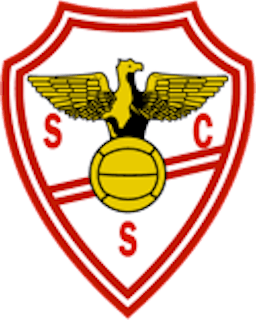 Logo: SC Salgueiros