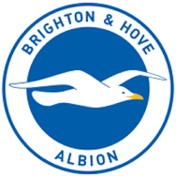 Logo: Brighton & Hove Albion