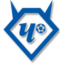 Logo: FC Chertanovo Moskau