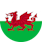 Logo: Wales Frauen