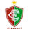 Logo: Fluminense PI sub-20