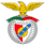 Logo: SL Benfica Frauen