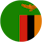 Logo: Zambie