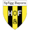 Icon: Bayern Hof