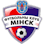 Icon: WFC Minsk