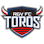 Icon: RGV FC Toros